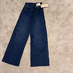 BCBGeneration Indigo Wide-Leg Trousers